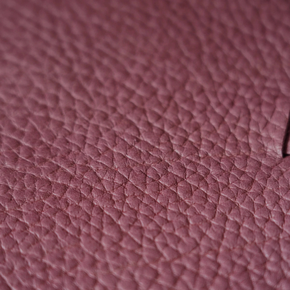 Mini Cut - Limited Edition Drop 041