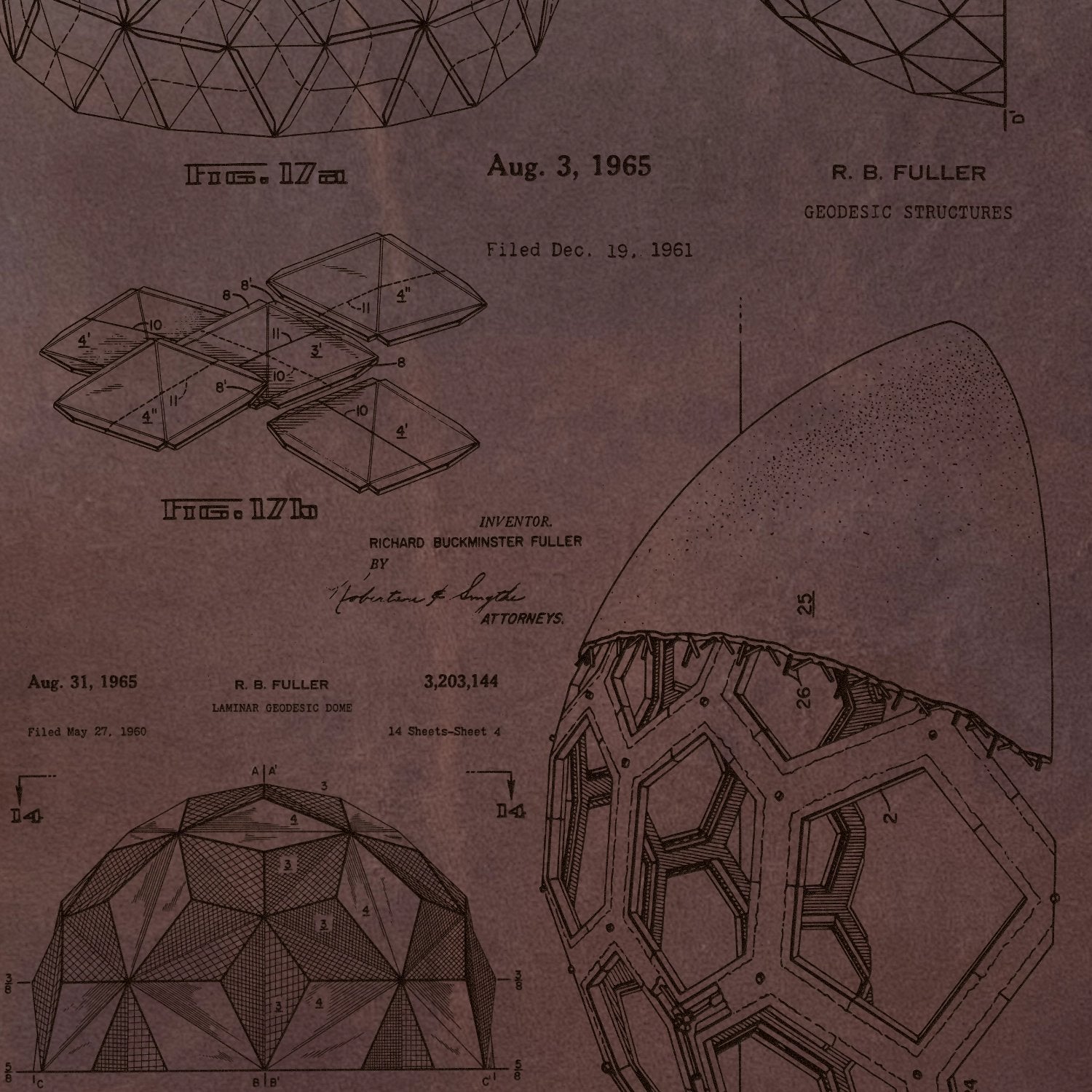 Bucky Ball - Geodesic