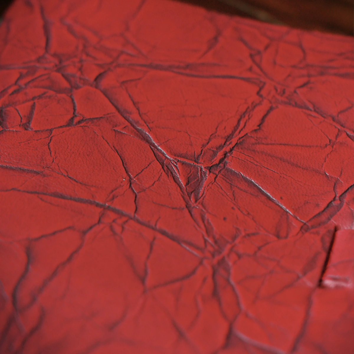 Pocket Cut - Limited Edition Drop 038