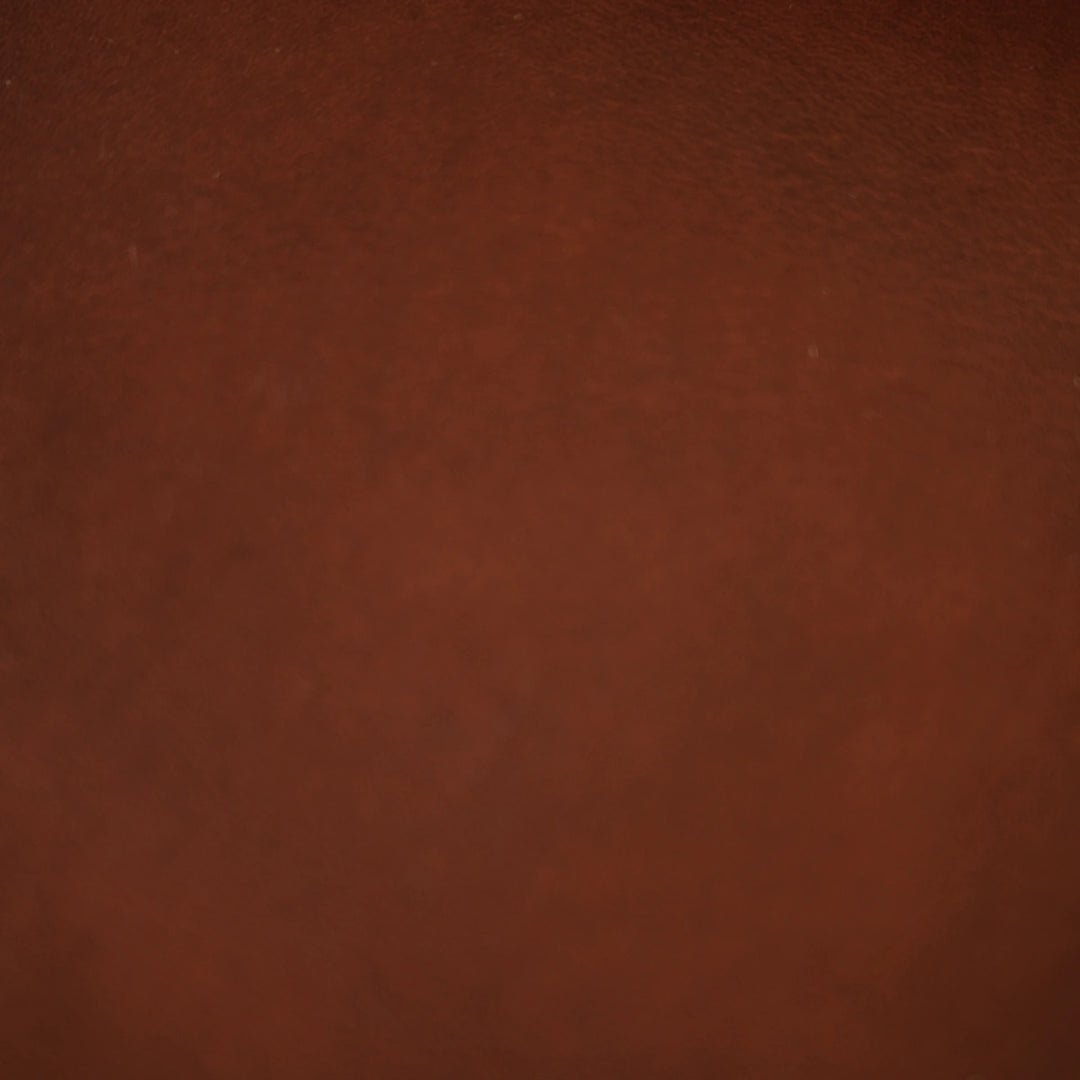 Limited Edition Golden Ticket - Olde English Horween Dublin Leather
